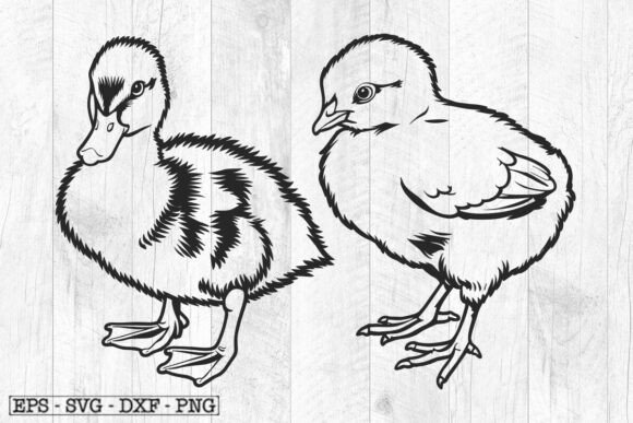 Cute & Versatile: Duckling Svg, Chick Svg, Funny Birds Svg for Real Embroidery Projects